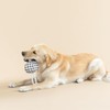 Fringe Studio "Pulling You in Painted Gingham 3D Canvas Dog