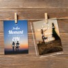 BIROYAL Postcards