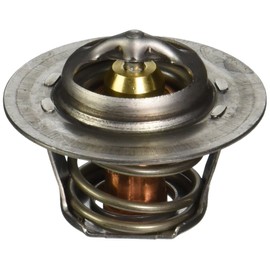 Raypack 006719F Unitherm Governor Capron