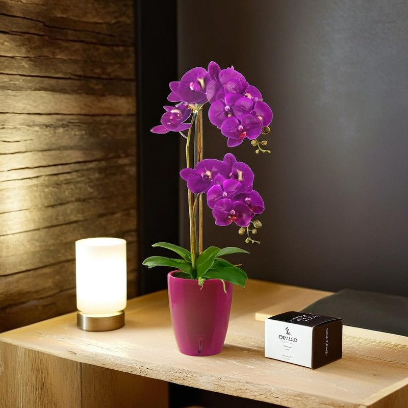 Santino ORCHIDEA Self-Watering Orchid Pot - 15CM Self-Watering Decorative Planter
