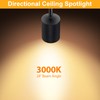 VANoopee Flush Mount LED Ceiling Spotlight Dimmable Adjustable Spotlight Directional