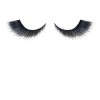 Coleccion 9 Pzas Cadaver De La Novia Beauty Creations Sombra