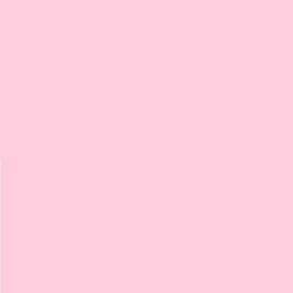 Pack of 2 LEE No. 154 Pale Rose - 24 x 24 cm Transparent Heat Resistant Coloured Film for Photo Studio PAR 64 Headlight - Gel Colour Filter Film (Pack of 2, Lee 154 Pale Rose)