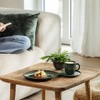 like. by Villeroy & Boch Lave Vert Breakfast Plate 23.5