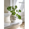 KAHLER Kohler OMAGGIO Vase omazio Flower Base (Small) Black H: