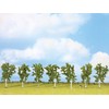 Noch® Betulle, con Alberi modellistici, Altezza 10 cm, Ideale per