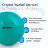 PEZZI - Original Pezziball Standard Gymnastics Ball 42-75 cm Diameter
