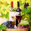 Blulu 200 Heat Shrink Capsules For Wine Bottles Pvc Black