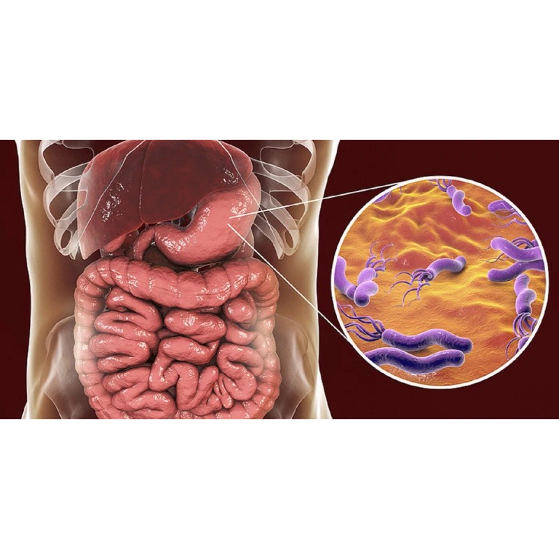 SUPPLEMENTS4ME NATURAL HELP FOR STOMACH BACTERIA - H. PYLORI -