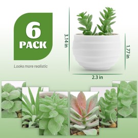 Der Rose Der Rose Set of 6 Succulents Plants Artificial in Pots Small Fake Plants for Bedroom Aesthetic Living Room Office Shelf Bathroom Decor