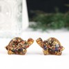 Nupuyai Pack of 2 Crystal Turtle Figurine Decorative Resin Gemstone