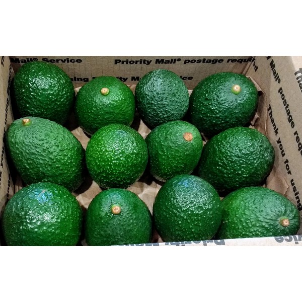 12 Pack Fresh California Hass Avocados (12 Pack)