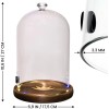 Generic Smoking Gun Accessory LED lights Glass Dome 10.2 x