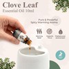 Calmer Solutions Clove Leaf Essential Aromatherapy Oil 10ml
