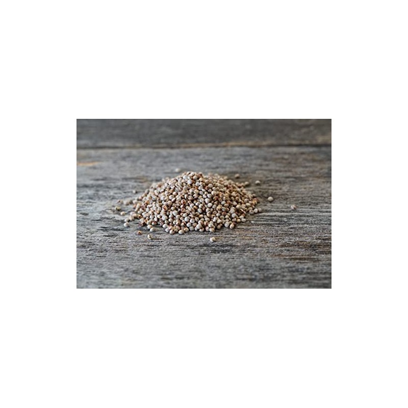 Hale Habitat & Seed Grain Sorghum Food Plot Seed, 5