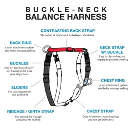Blue-9 Buckle-Neck Balance Harness, Fully Customizable Fit No-Pull Harness, Ideal for Dog Training and Obedience, Made in The USA, Red, Small