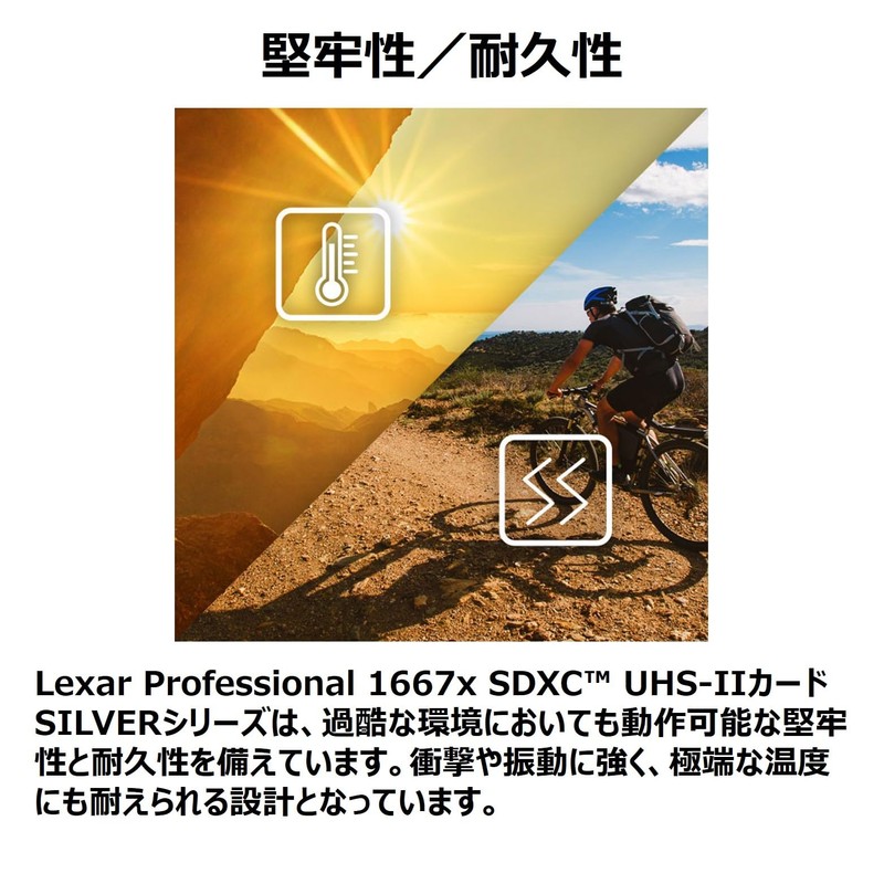 Lexar LSD256CB1667 SDXC Card, 256 GB, Silver Series, Class 10