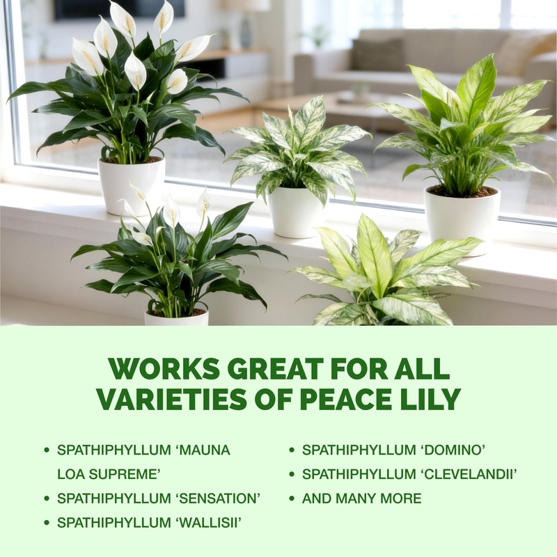 Peace Lily Fertilizer, Complete Liquid Peace Lily Plant Food, 8