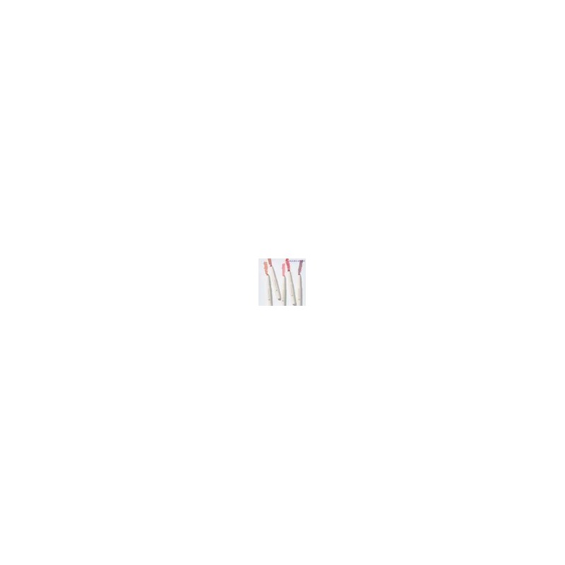 홀리카홀리카 Mellow Blurring Lip Pencil