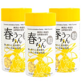 nakazen 春うっちん 650粒 3個セット ウコン 春ウコン うっちん