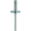 Fastenere Large Flange Pop Rivets - 1/4" x 1/4" (25