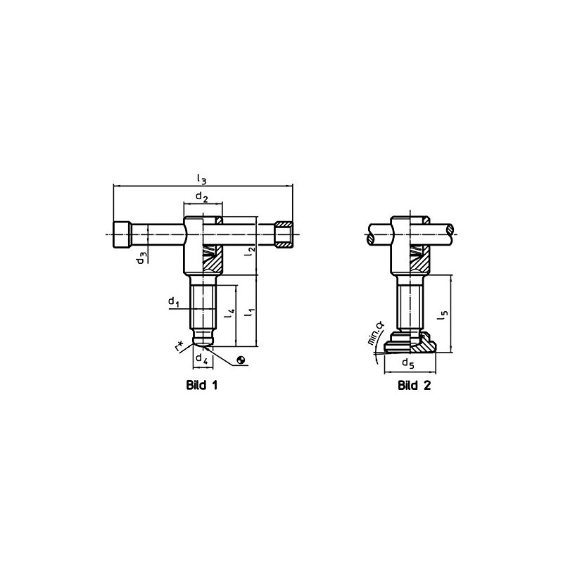 HALDER Toggle screws, DIN 6306 with loose toggle / without