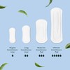 Rael Incontinence Pads for Women, Organic Cotton Cover, Postpartum Essential,
