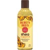 Burt's Bees Burt's Bees Shea + Tropical Fruit Luminous Body