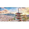 Pintoo Jigsaw Puzzles 800 Piece for Adults - Fuji Sengen