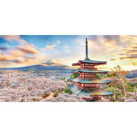 Pintoo Jigsaw Puzzles 800 Piece for Adults - Fuji Sengen Shrine, Japan Beautiful Plastic Puzzle for Home Decor Zero Dust Easy Storage [H2016]