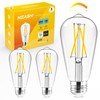 Hizashi LED Edison Bulbs, 6W, Equivalent 60W, Dimmable E26 LED