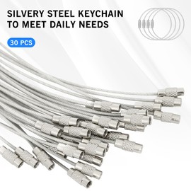 DFTOA-30 Pack 6 inch Extendable Wire Keychain Cable/Luggage Tags/Loops Holder/ID Tag Keeper, Silver Cable Key Ring