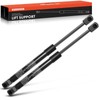 A-Premium Rear Tailgate Lift Supports Shock Struts Compatible with Select
