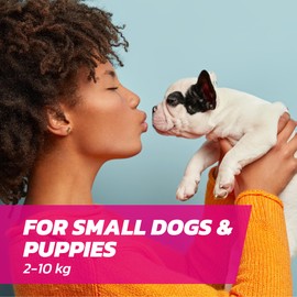 Dog Flea Treatment Small Dog x 3 - Spot on Flea Treatment for Dogs Small 2-10kg - FleaSolve Flea & Tick Solution - 3 x Pipettes - 3 - Doses