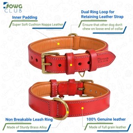 DowgClub Leather Dog Collar | Leather Collar for Small Dogs, .75 Inch Wide Red Dog Collar | Genuine, Full Grain, Heavy Duty, Comfortable, Inner Soft Padding (S (Neck Size 11.5"-14.5"), Red)