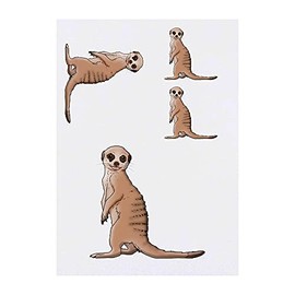 4 x 'Meerkat Pup' Temporary Tattoos - Water Resistant, Skin-Safe, Non-Toxic Transfers, Mixed Sizes (TO00042193)