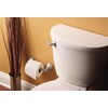 Moen Voss Collection Brushed Nickel Pivoting Toilet Paper Holder, Wall