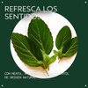 Aveda Cooling Balancing oil concentrate Aceite Refrescante para el Cuerpo