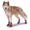 Zack & Zoey ThermaPet Neoprene Boots