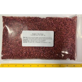 Link 1 pound Sorghum Seeds Rox Orange Syrup Cane Non-GMO Heirloom.