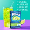 Flavor Aid Singles To Go Powder Packets, Water Drink Mix,