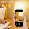 Arayuru Table Lamp, Night Light, Indirect Lighting, Japanese Style, Desk