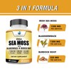 American Standard Supplements Irish Sea Moss 1200mg, Bladderwrack 1200mg and