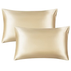 Set of 2 Satin Pillow Covers Envelope Pillowcase for Skin Beauty Hair Double Sided Silk Smooth Material Anti-Static (50*70, Champagne)