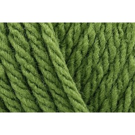 Sirdar Hayfield Bonus Chunky Crochet Yarn, 100% Acrylic Soft Knitting Wool for Sweaters, Cardigans, Jumpers, Ponchos and Capes - 100g Ball - Fern Green (603) - Single (1 Ball)