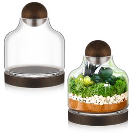 Sunnychicc 2 Pcs Large Glass Terrariums Jar for Plants with Wood Base Ball Lid Clear Terrariums Container House Display for Succulent Fish Home Office Decoration, 7 Inch Height