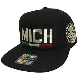 Mexico Michoacan {mich} en frente Logo Federal All Silver hat Black Snapback