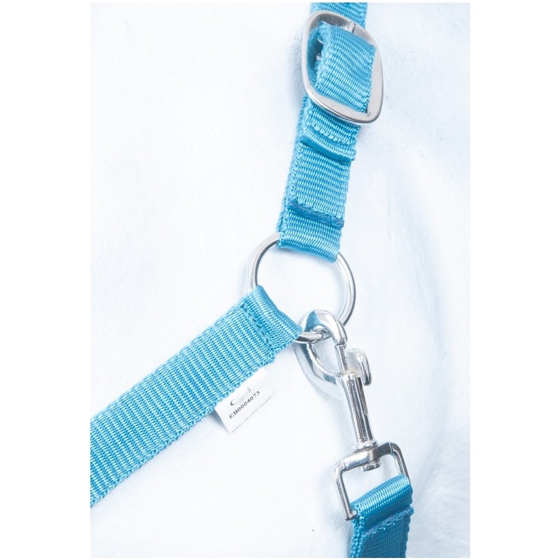 HKM by Reiterladen24 Basicline Headcollar Turquoise/Aqua Thoroughbred