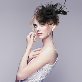 Fascinator Hats for Women, Fascinator Women's Hat with Feathers and Net Vintage and Hair Clip for Wedding Party Carnival Bridal Hair Accessories Summer Headband Elegant Headpiece for Women