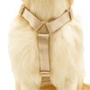 Nylon No Pull Dog Harness with Gold Metal Buckles,Easy Walking